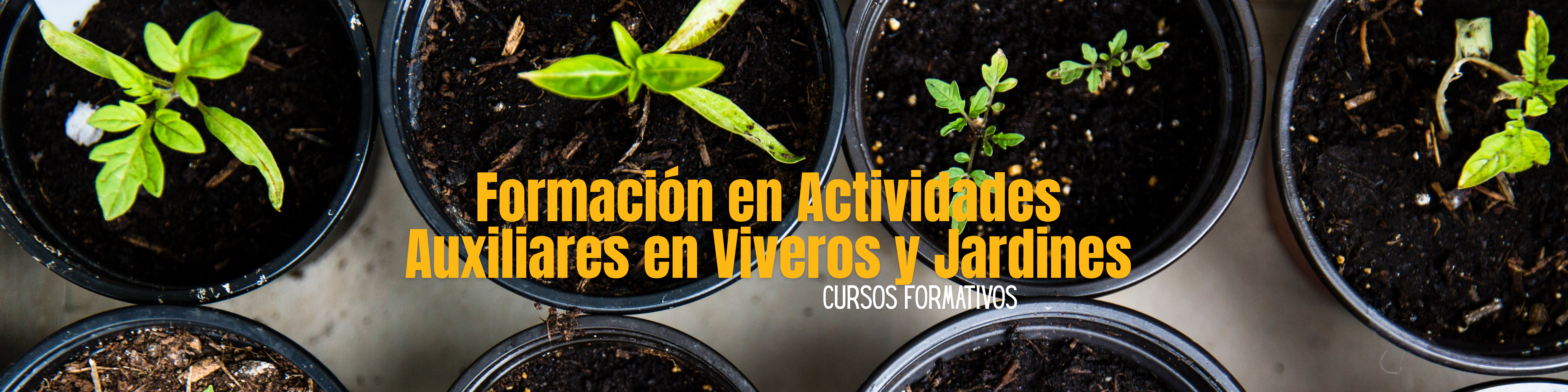 slideshow banner